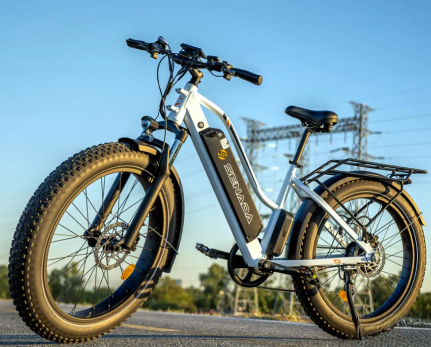 Herald Plus Fat-Tire e-Bike by Senada | 1000W Motor | 80-Mile Range | 330 lb Payload - Buy Now!