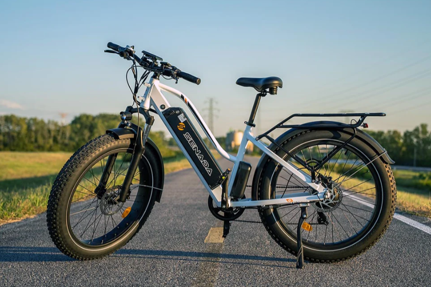 Herald Plus Fat-Tire e-Bike by Senada | 1000W Motor | 80-Mile Range | 330 lb Payload - Buy Now!