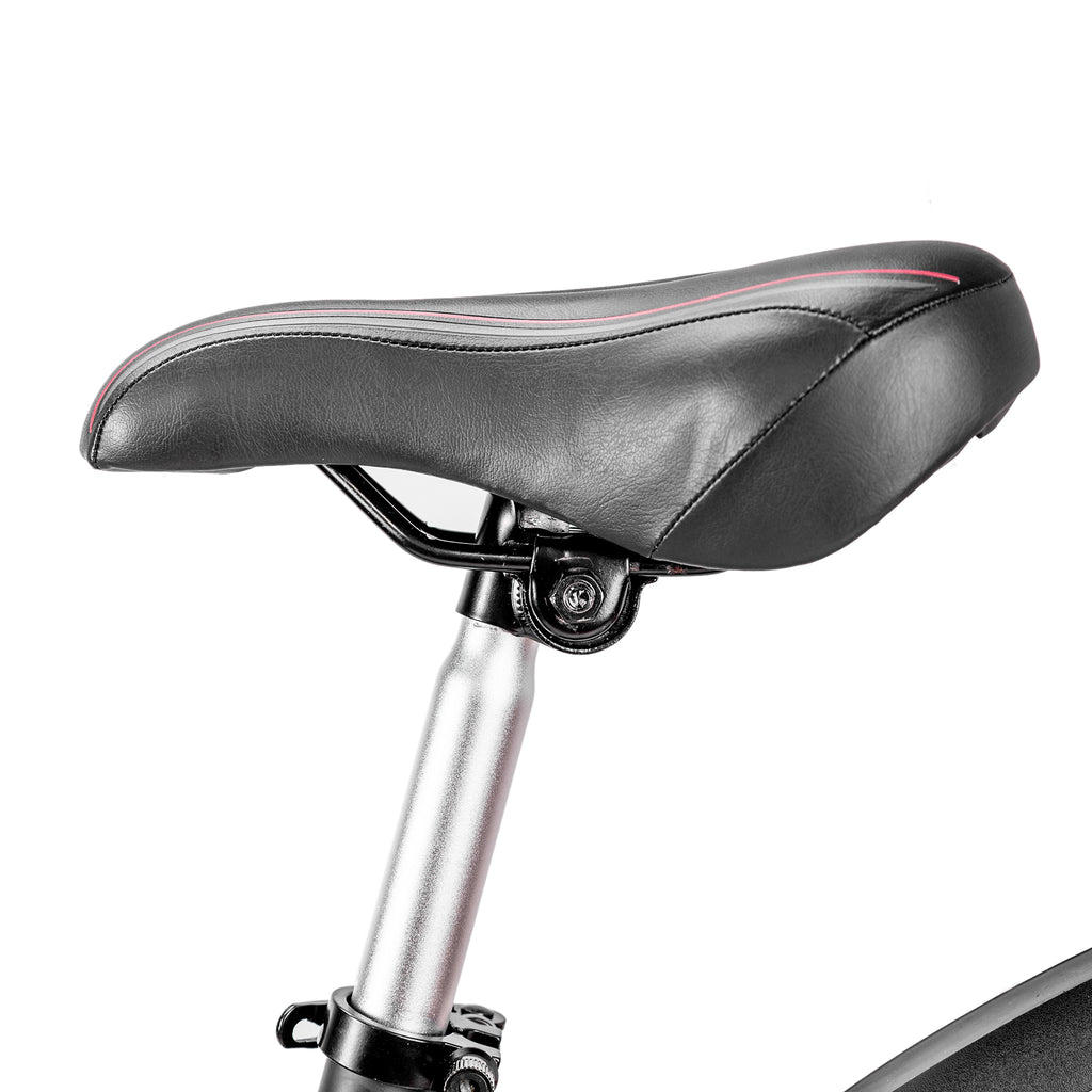 NAKTO Ranger 2 Electric Bike
