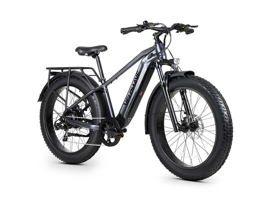 Ranger 3.0  Fat-Tire Electric Bike by Velowave | 750W Motor | All-Terrain Comfort Ride
