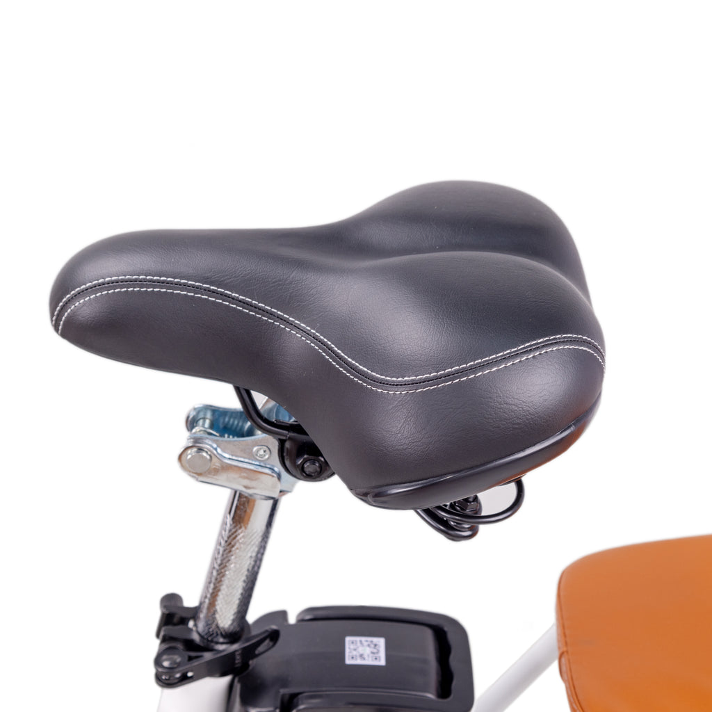 NAKTO Elegance 2 Electric Bike