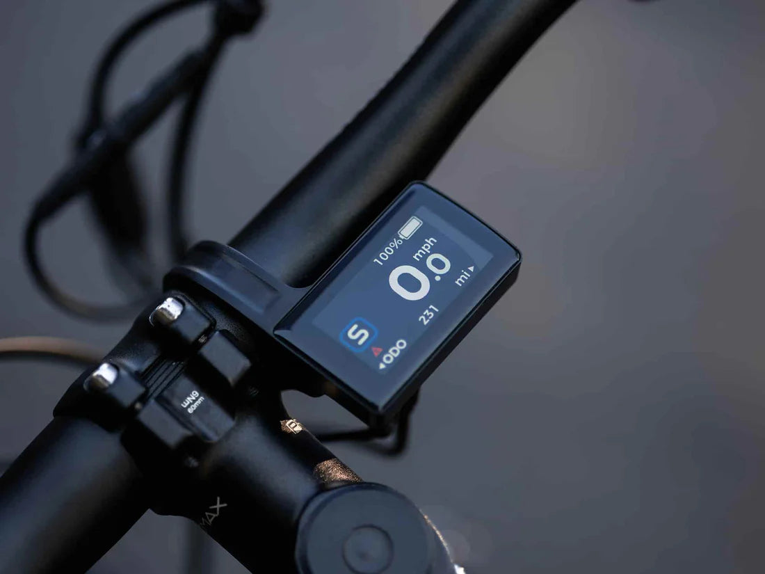 VELOWAVE Forest SM MTB