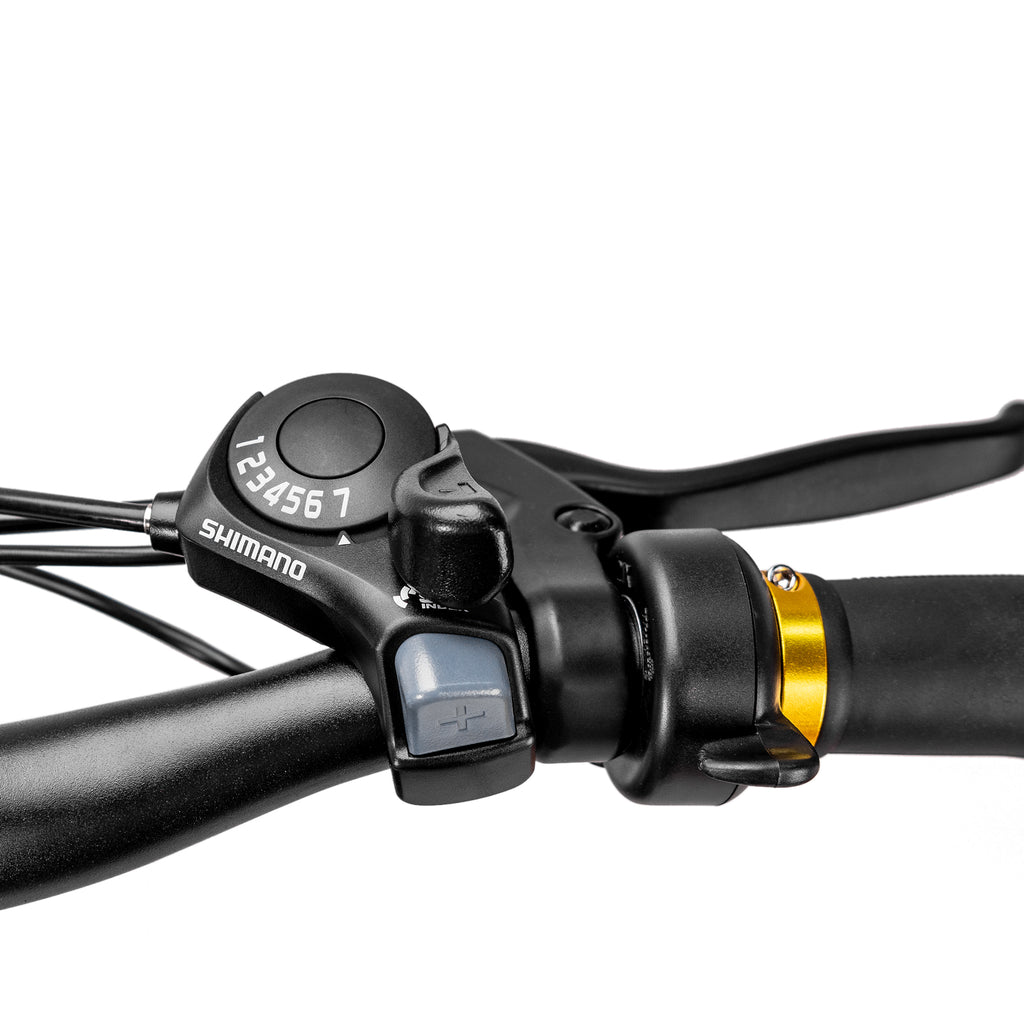 NAKTO Cruiser 2 Electric Bike