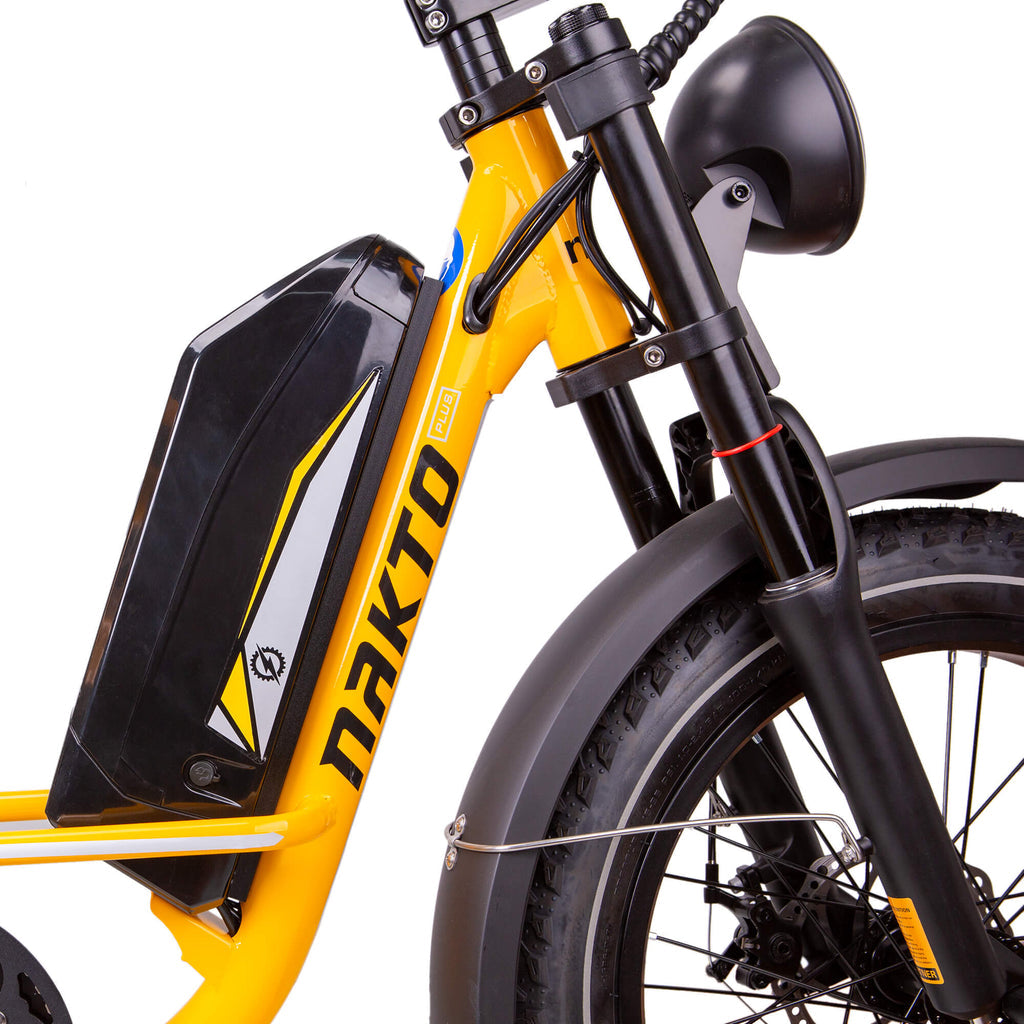 NAKTO F4 Electric Bike