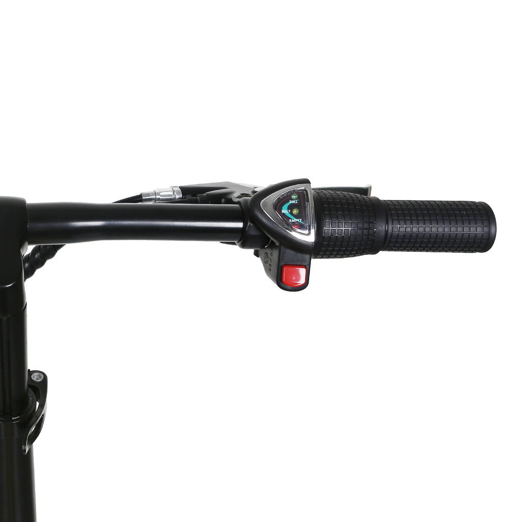 NAKTO Skylark Electric Bike