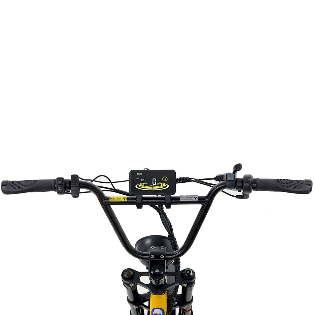 NAKTO F4 Electric Bike