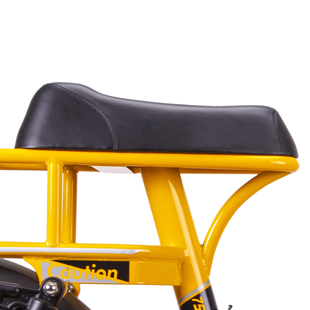 NAKTO F4 Electric Bike