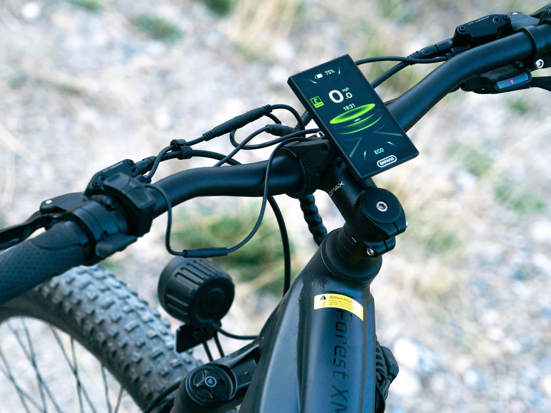 VELOWAVE Forest XM MTB