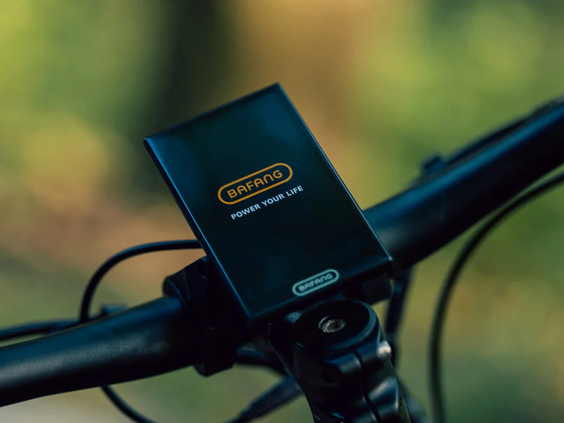 VELOWAVE Forest XM MTB
