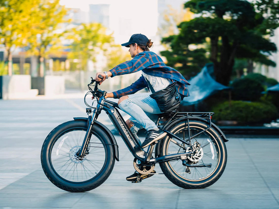 VELOWAVE Ranger 3.0 Fat Tire All-Terrain Electric Bike