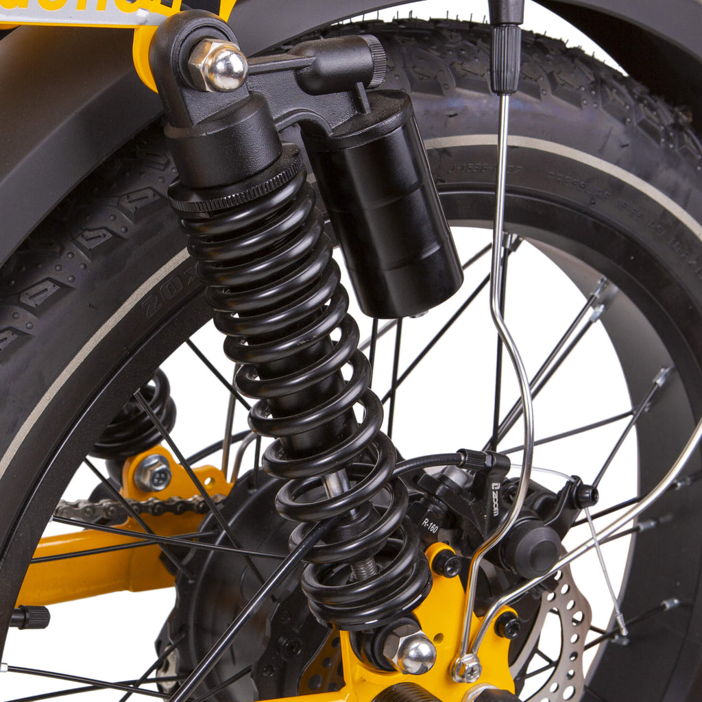 NAKTO F4 Electric Bike