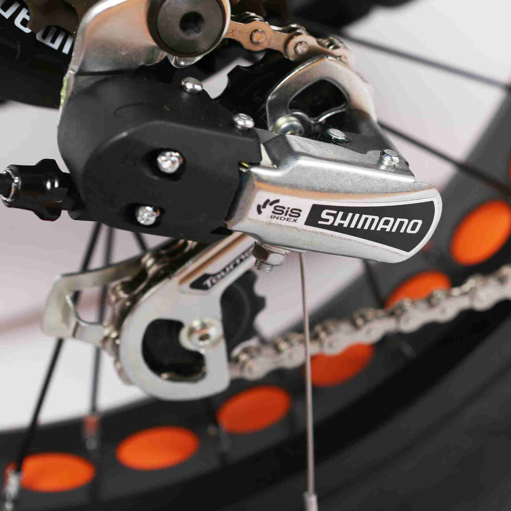 NAKTO Folding OX Electric Bike
