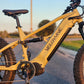 Velowave Brawny XM MTB Mountain Electric Bike