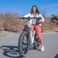 RATTAN Pathfinder Step-Thru Electric Bike