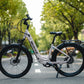 Velowave Breeze T Torque Sensor Electric Bike