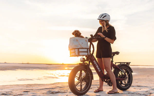 HEYBIKE Ranger S | Fat Tire Folding Ebike