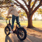 HEYBIKE Ranger S | Fat Tire Folding Ebike