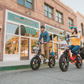 RATTAN LM 750 Pro Electric Bike