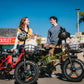 RATTAN LM 750 Pro Electric Bike