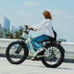 VELOWAVE Ranger Step-Thru 3.0 Torque Sensor Electric Bike