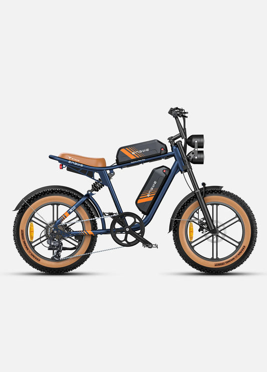 ENGWE M20 Long Range Electric Bike