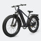 VELOWAVE Ranger 2.0 Fat Tire All-Terrain Electric Bike