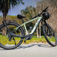 VELOWAVE Swift M Mid-Drive Electric Bike