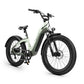 VELOWAVE Grace 2.0 Step-Thru Electric Bike