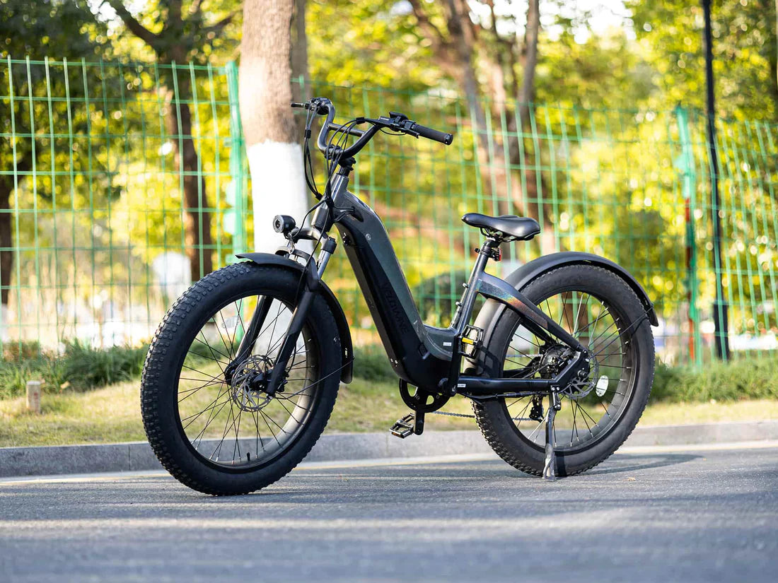 grace electric bicycles Velowave Grace 2.0 Step-Thru Electric Bike 750W 48V 20Ah Fat Tire