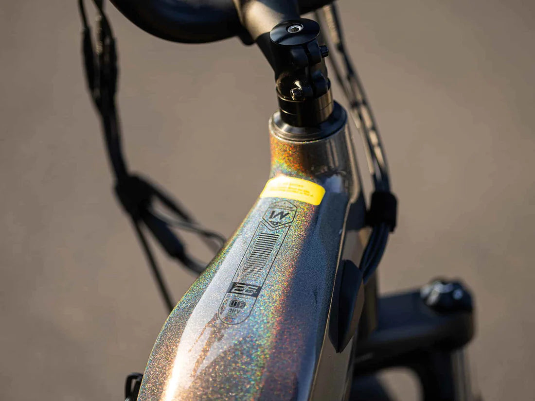 VELOWAVE Grace 2.0 Step-Thru Electric Bike