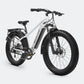 VELOWAVE Ranger 2.0 Fat Tire All-Terrain Electric Bike