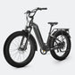 VELOWAVE Ranger Step-Thru 2.0 Electric Bike