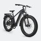 VELOWAVE Ranger 2.0 Fat Tire All-Terrain Electric Bike