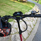 NANROBOT D4+ Max Electric Scooter