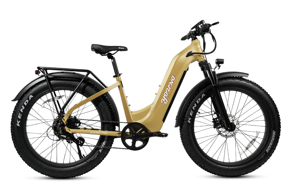 MOVE Electric Scooters - Young Electric E-Scout Pro Step-Through All Terrain Fat Tire Electric Bike right sideview