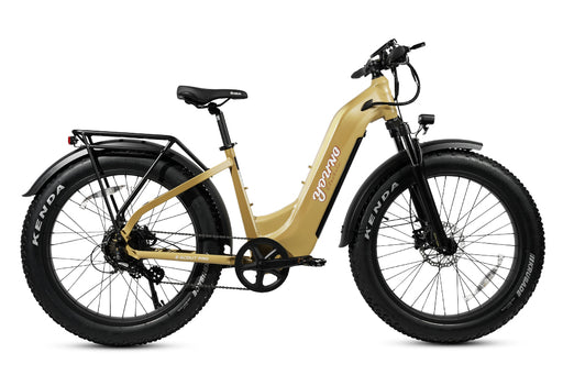 MOVE Electric Scooters - Young Electric E-Scout Pro Step-Through All Terrain Fat Tire Electric Bike right sideview