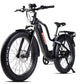 MOVE Electric Scooters - Young Electric E-Explorer Electric Hunting Bike - Black angled left frontview
