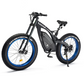 MOVE Electric Scooters - Ecotric Bison Electric BIke angled left sideview