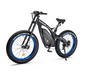 MOVE Electric Scooters - Ecotric Bison Electric BIke angled left sideview