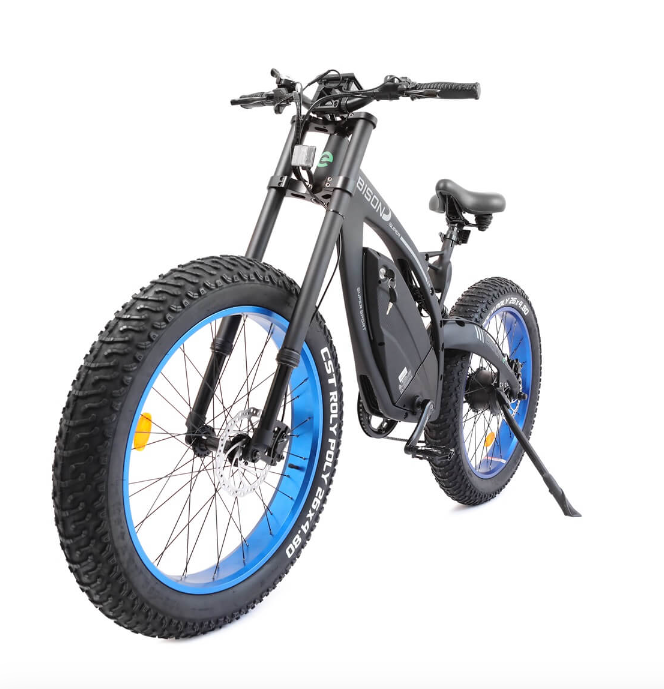 MOVE Electric Scooters - Ecotric Bison Electric BIke agnled view