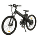 MOVE Electric Scooters - Ecotric Seagull Electric Mountain Bike angled left sideview