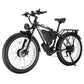 PHILODO BIKES H8 | Dual Motor Fat Tire Electric Bike