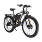 PHILODO BIKES H8 | Dual Motor Fat Tire Electric Bike