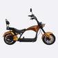 MOVE Electric Scooters - Linkseride E Chopper M1 2 Seater Electric Scooters Sideview