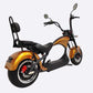 MOVE Electric Scooters - Linkseride E Chopper M1 2 Seater Electric Scooter angled backview