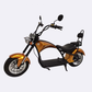 MOVE Electric Scooters - Linkseride E Chopper M1 2 Seater Citycoco Electric Scooter