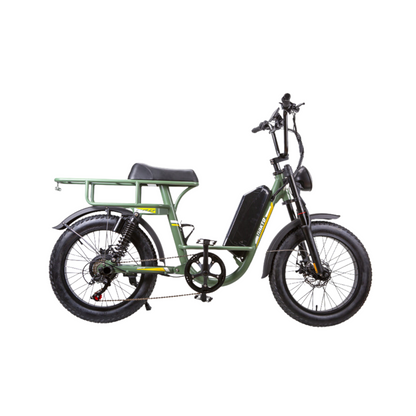 NAKTO F4 Electric Bike