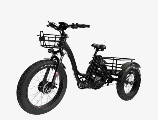 EMOBILITY STAR Fat Tire Electric Tricycle