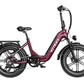 HEYBIKE Ranger S | Fat Tire Folding Ebike