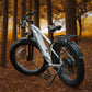 VELOWAVE Ranger 3.0 Fat Tire All-Terrain Electric Bike